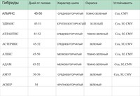 Профессиональные семена овощных культур БЕЙО