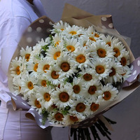 Большой букет ромашек