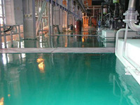 Полиплан 1001