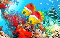 Новый год в ОАЭ