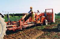 Машины для уборки молодого (раннего) картофеля IMAC (Италия)