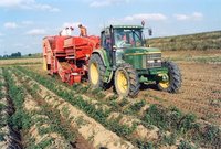 Картофелеуборочные комбайны IMAC (Италия)