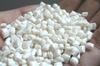 Гранула полипропилена