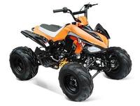 Квадроцикл IRBIS ATV110S 110сс 4т