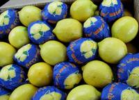 Лимоны(Адалия)