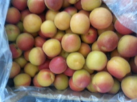 Нектарин и персики