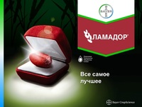 Ламадор-протравитель зерновых культур