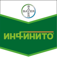Инфинито,КС
