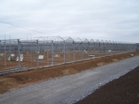 услуги по доставке и/или таможенному оформлению тепличных конструкций ведущих голландских поставщиков