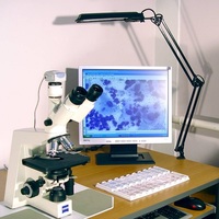 Лабораторные инструментальные исследования