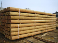 Оцилиндрованное бревно