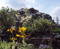 Ландшафтный дизайн