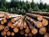 Земли лесного фонда: кардинальные изменения законодательства, проблемные вопросы использования при недропользовании и размещении линейных объектов