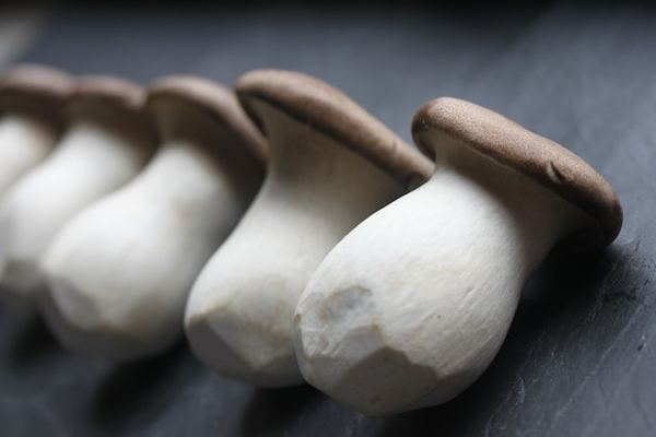 Mushrooms-ne8-unsplash