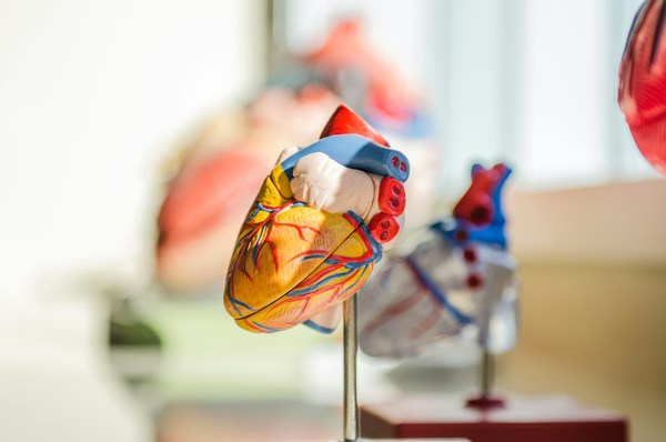 Heart-op-o-unsplash