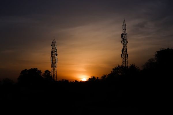 Cellular-tbs-unsplash