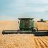 Wheat-us-unsplash