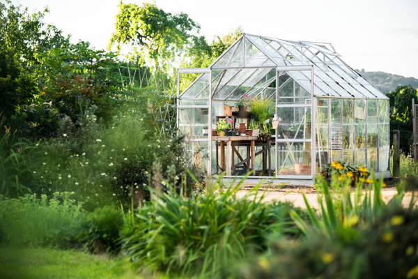 Dacha-30188-freepik
