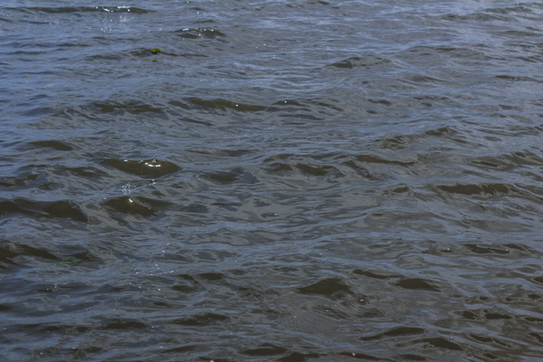 River-208-freepik