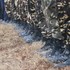 Army-vdk-unsplash