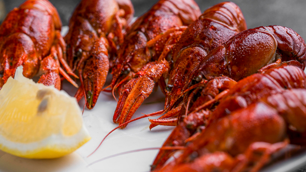 Crayfish-2148708699-magnific