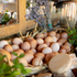 Farm-market-2149211788-freepik