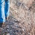 Walk-qyy-unsplash