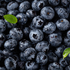 Blueberry-1166-magnific